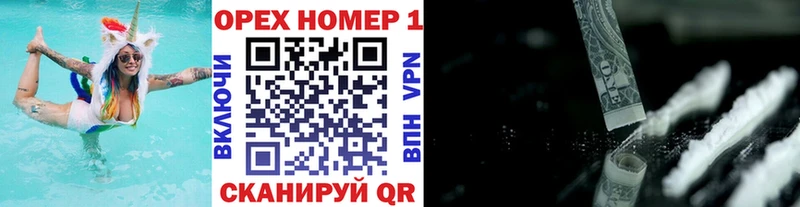 Cocaine FishScale  OMG ССЫЛКА  Судогда  где купить наркотик 